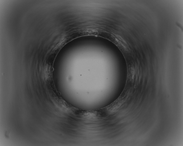 X0000093160236200709261515