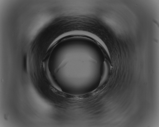 X0000093160239200709261515