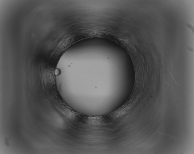 X0000093160240200709261515