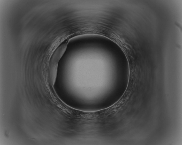 X0000093160241200709261514