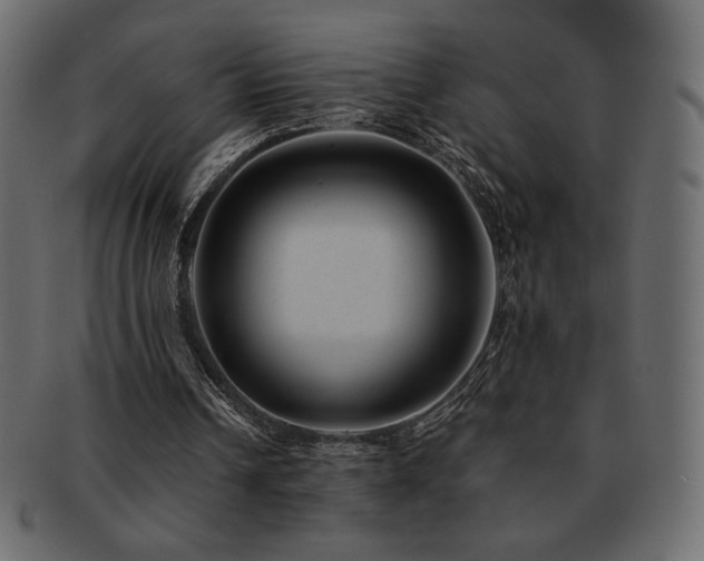 X0000093160242200709261514