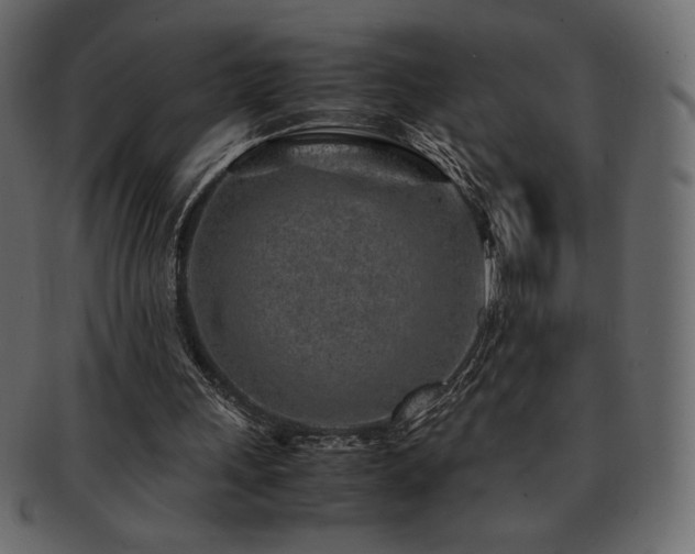 X0000093160243200709261514