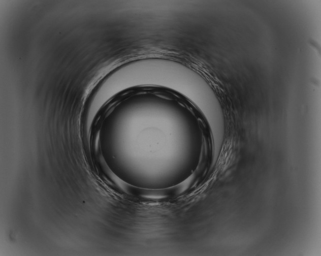 X0000093160244200709261515