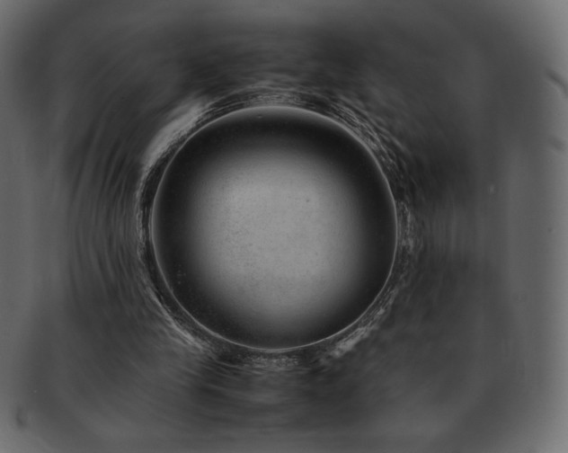 X0000093160245200709261515