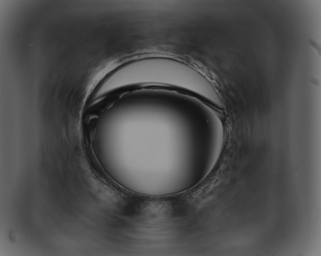 X0000093160248200709261515