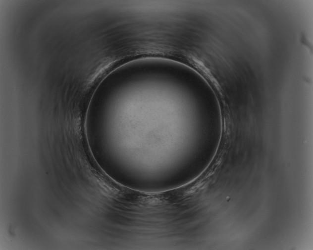 X0000093160249200709261515