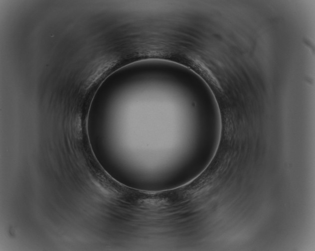 X0000093160251200709261515