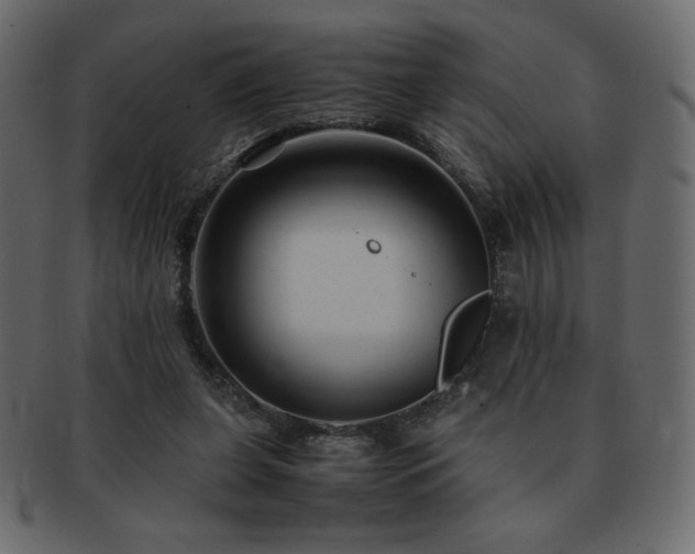 X0000093160255200709261515