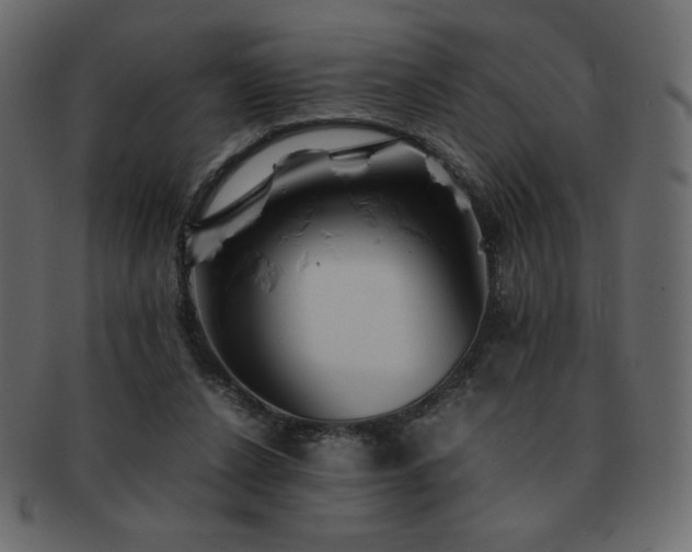 X0000093160256200709261515