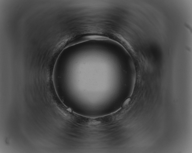 X0000093160257200709261515