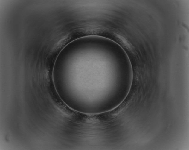 X0000093160258200709261515