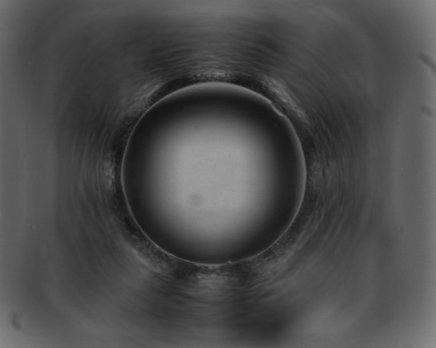 X0000093160259200709261515