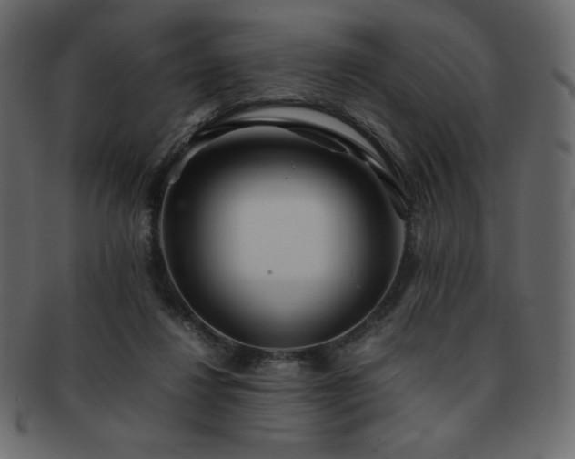 X0000093160260200709261515