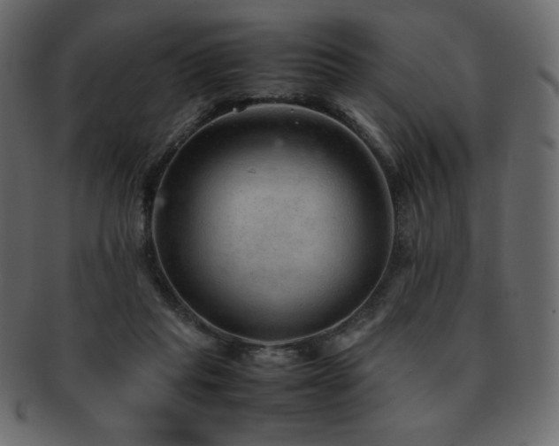 X0000093160261200709261515