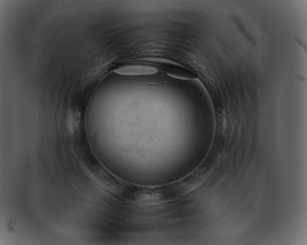 X0000093160263200709261515