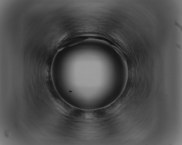 X0000093160264200709261515