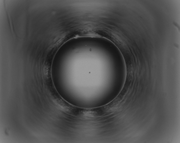 X0000093160268200709261515