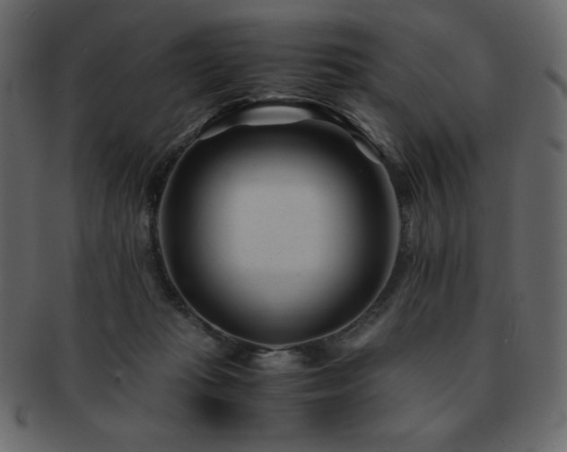 X0000093160269200709261515