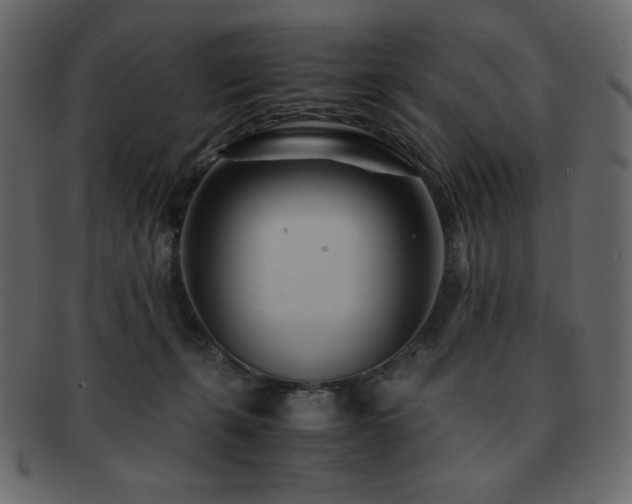 X0000093160271200709261515