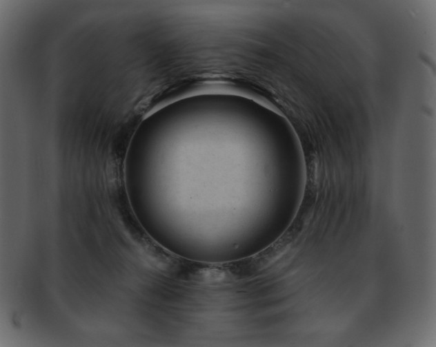 X0000093160272200709261515