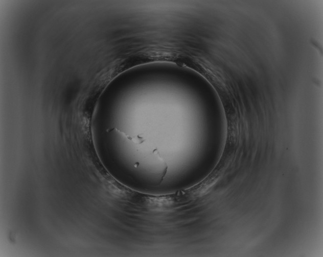 X0000093160281200709261515