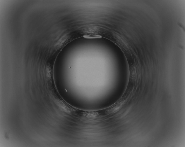 X0000093160282200709261515