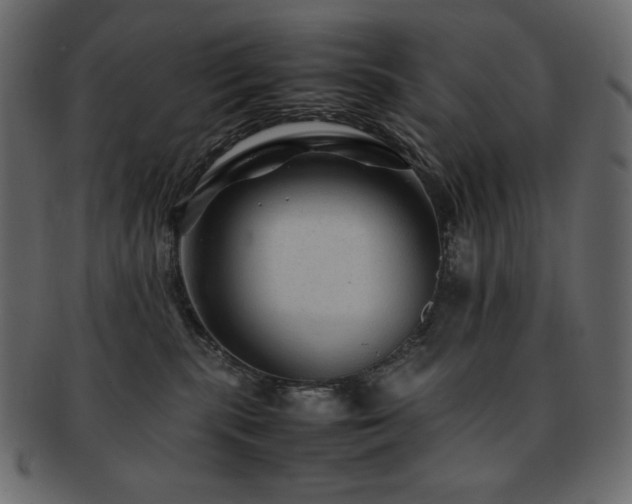 X0000093160283200709261515