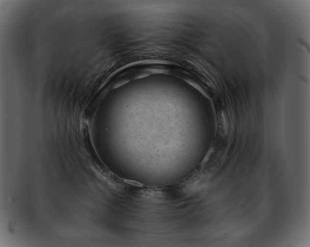 X0000093160284200709261515