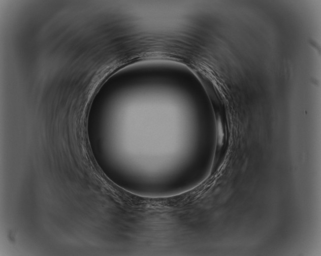X0000093160289200709261514