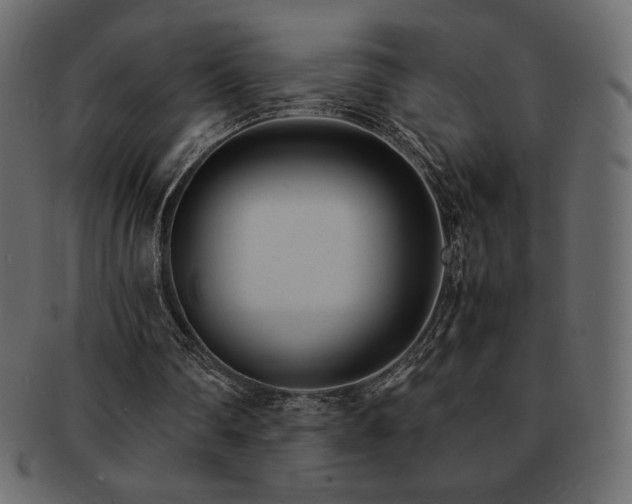 X0000093160290200709261514