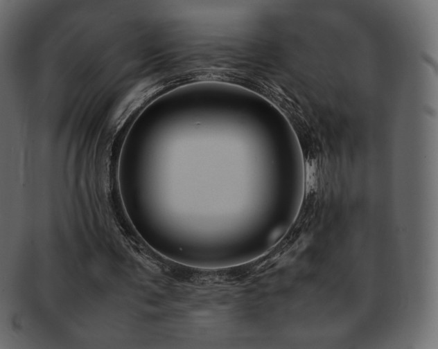X0000093160291200709261514