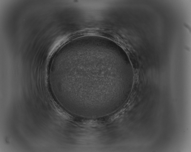 X0000093160293200709261514