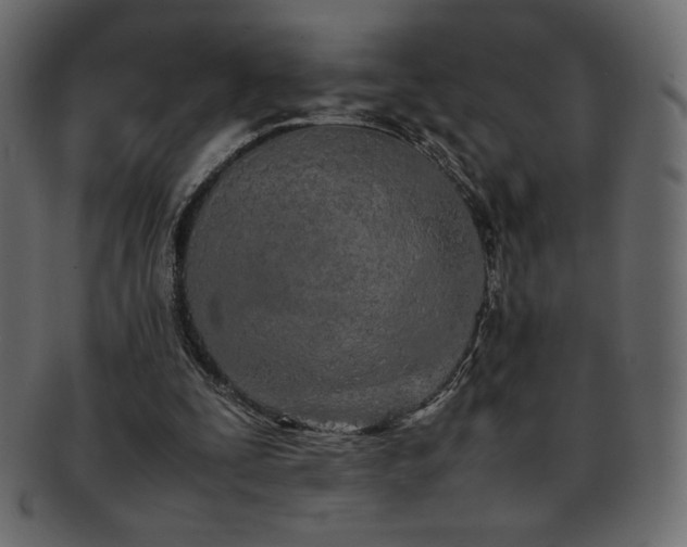 X0000093160295200709261514