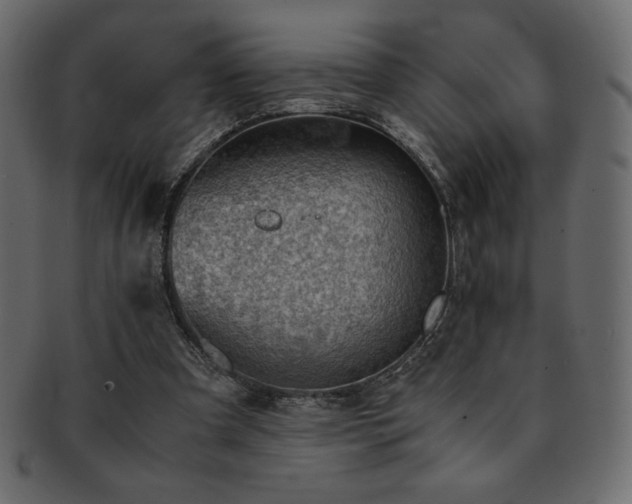 X0000093160297200709261514