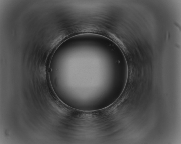 X0000093160298200709261514