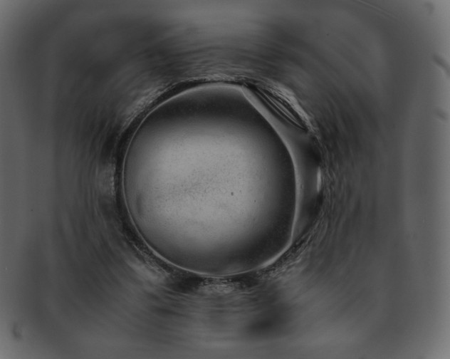 X0000093160299200709261514