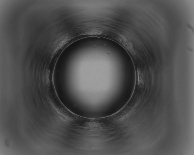 X0000093160300200709261514