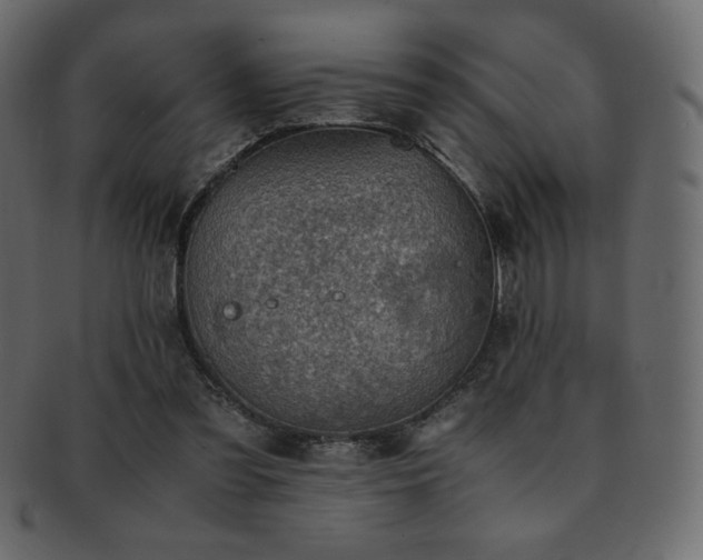 X0000093160301200709261514