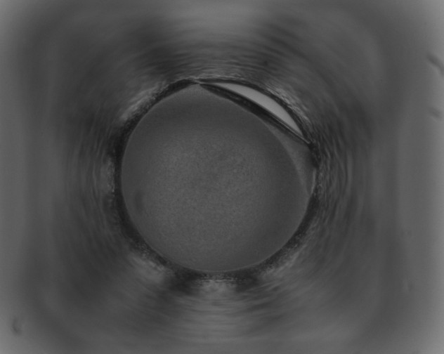 X0000093160303200709261514