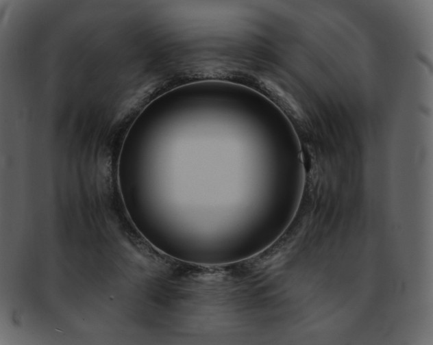 X0000093160306200709261514