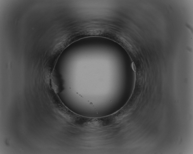 X0000093160307200709261514