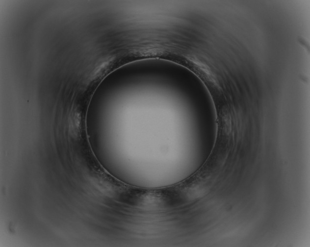 X0000093160308200709261514
