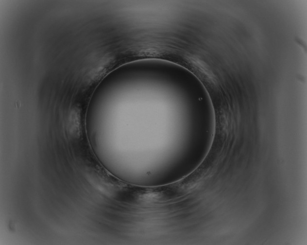 X0000093160312200709261514