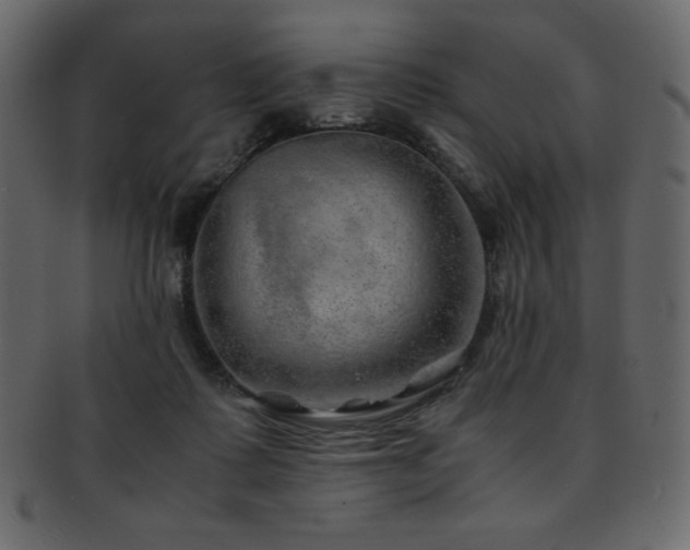 X0000093160315200709261514