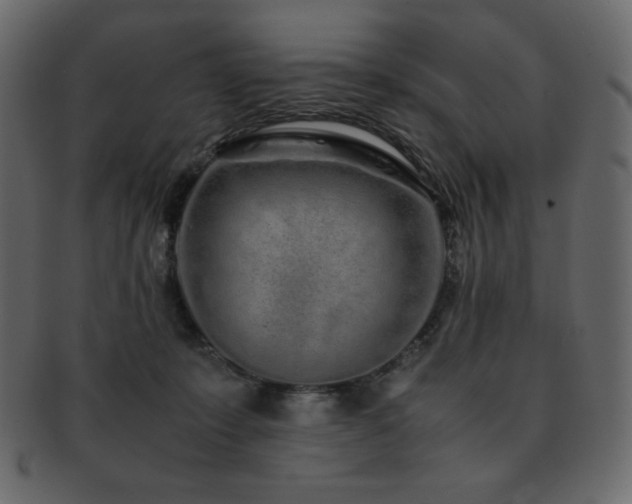 X0000093160319200709261514