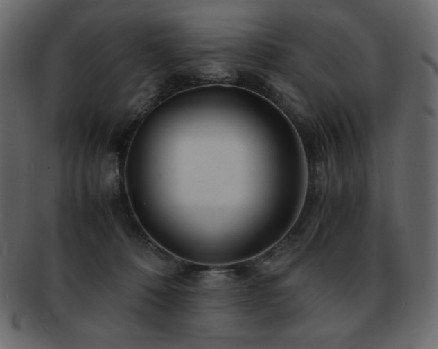 X0000093160320200709261514