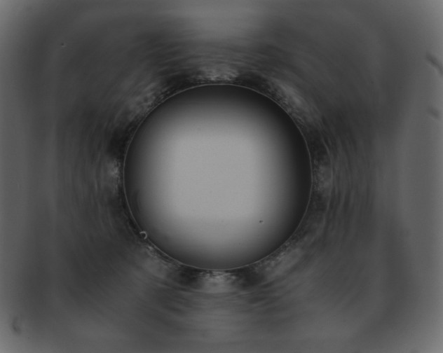 X0000093160321200709261514