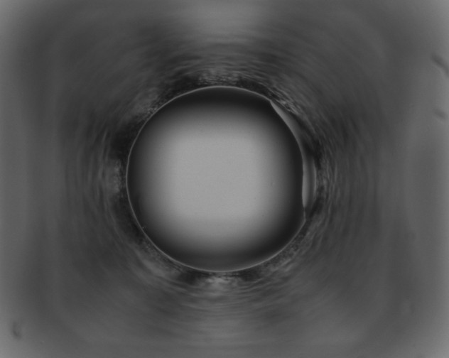 X0000093160323200709261514