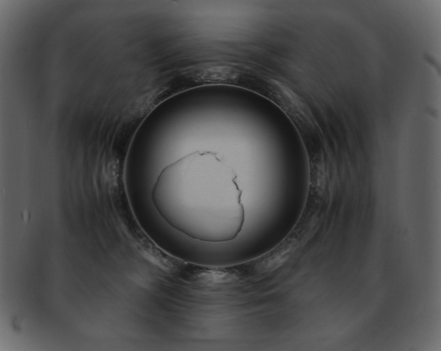 X0000093160326200709261514