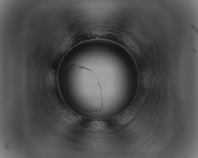X0000093160328200709261514